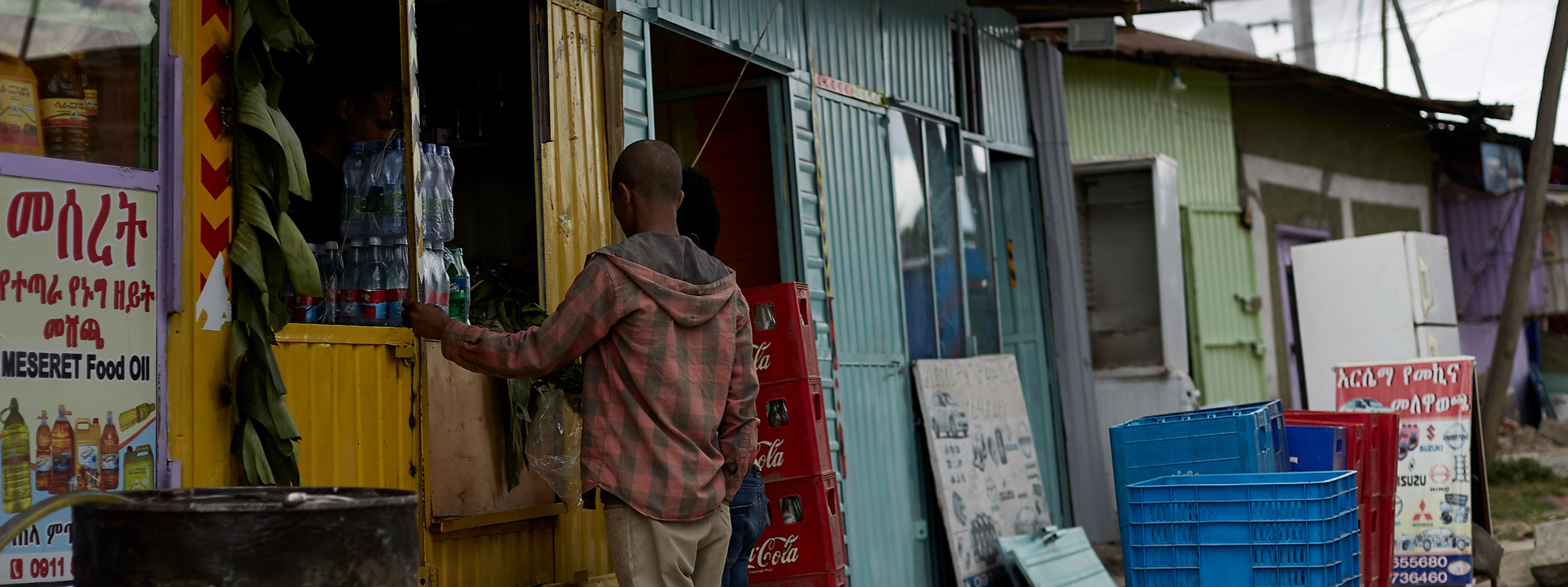 Investigación en desnutrición