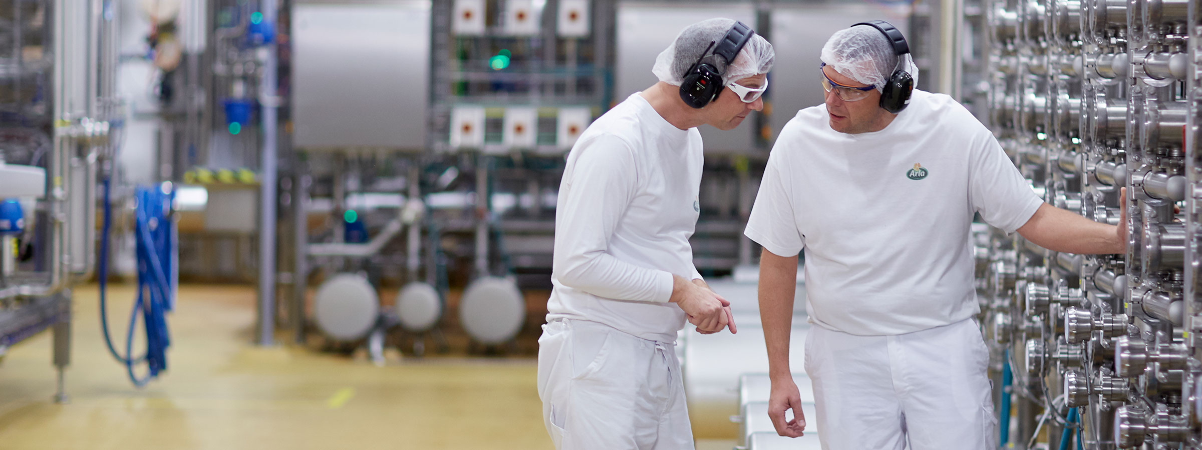 Segurança de alimentos desde a concepção