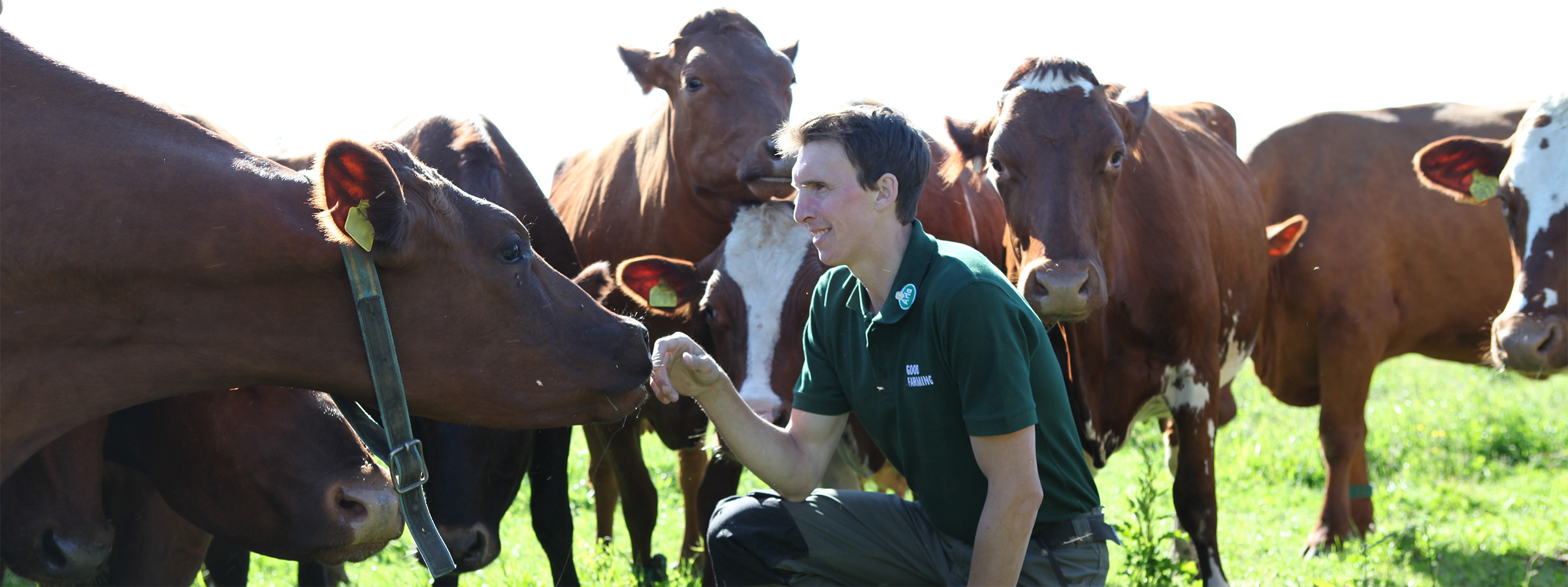 Quality you can trust