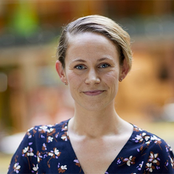 Global QEHS, Director