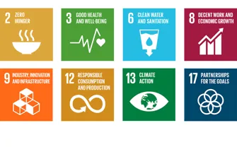 Nuestro aporte a los Objetivos de Desarrollo Sostenible (ODS) de la ONU