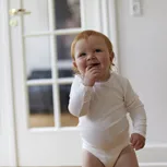 Seguridad alimentaria