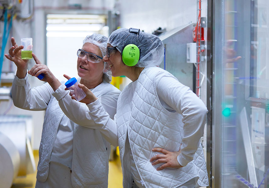 Residuos de alimentos