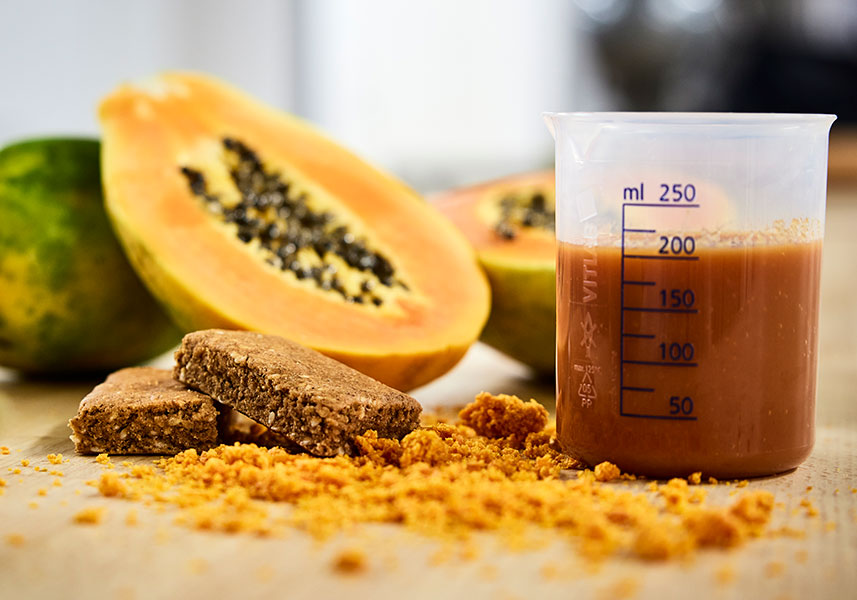 Nutri&#xE7;&#xE3;o acess&#xED;vel em um lanche de t&#xE2;maras secas