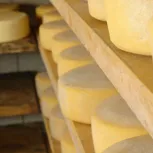 Queso madurado tradicional
