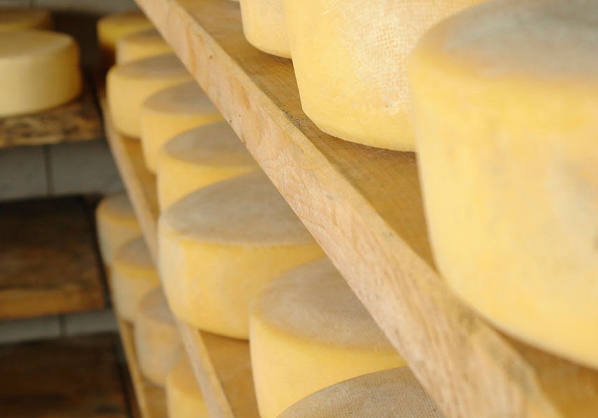 Queijos com maturação tradicional