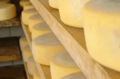 Queijos com maturação tradicional