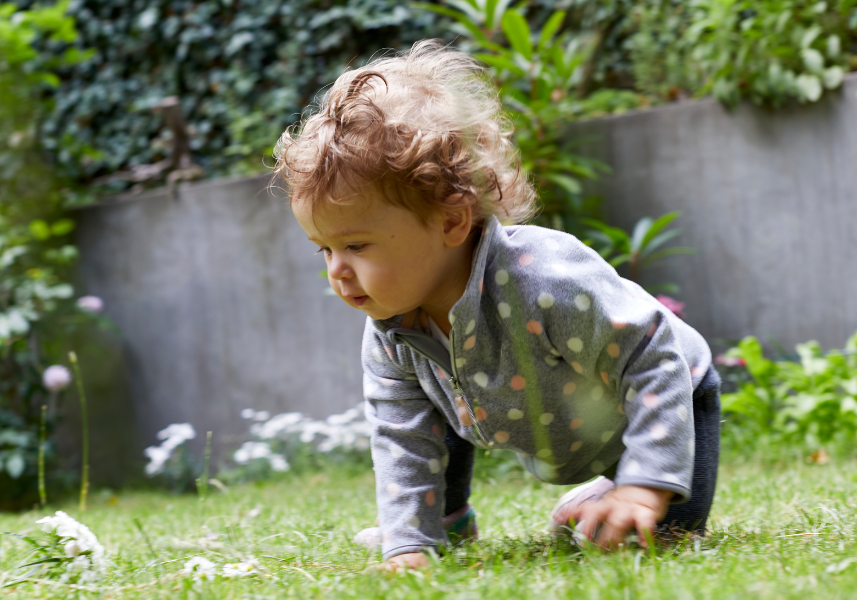 Early life nutrition ingredients for the next generation