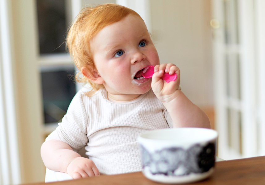 Complementary feeding and toddler nutrition 
