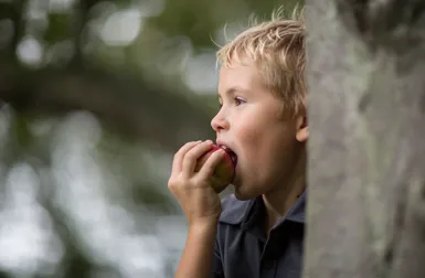 Nutrición para niños