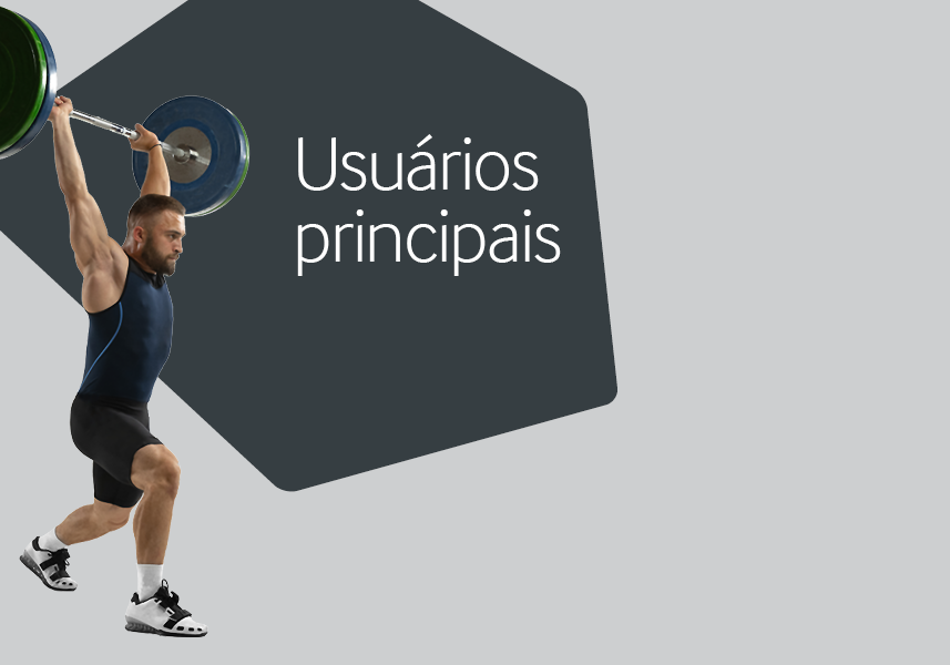 Usuários principais