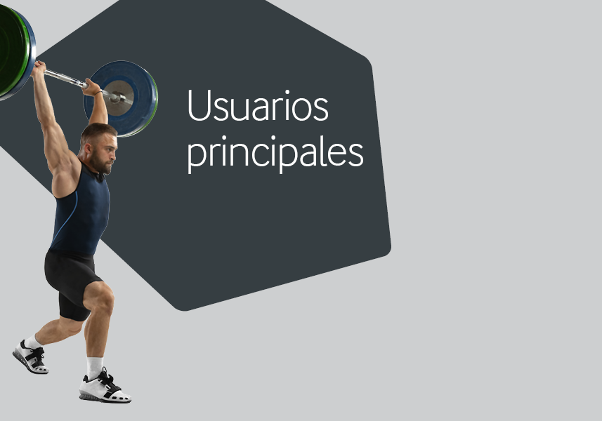 Usuarios principales