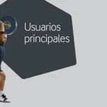 Usuarios principales
