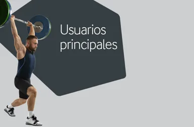 Usuarios principales