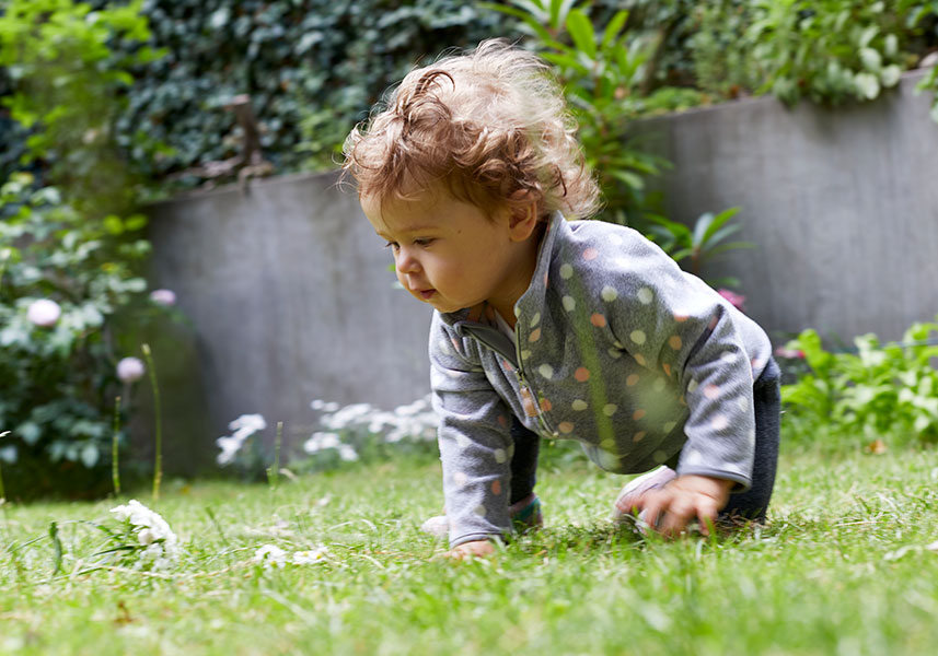 Casein phosphopeptides