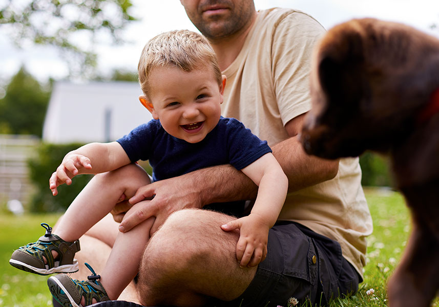 Milk protein hydrolysates