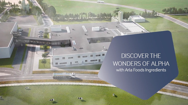 Discover the wonders of Alpha