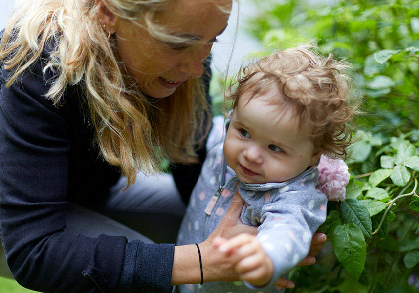 Whey protein concentrates & isolates