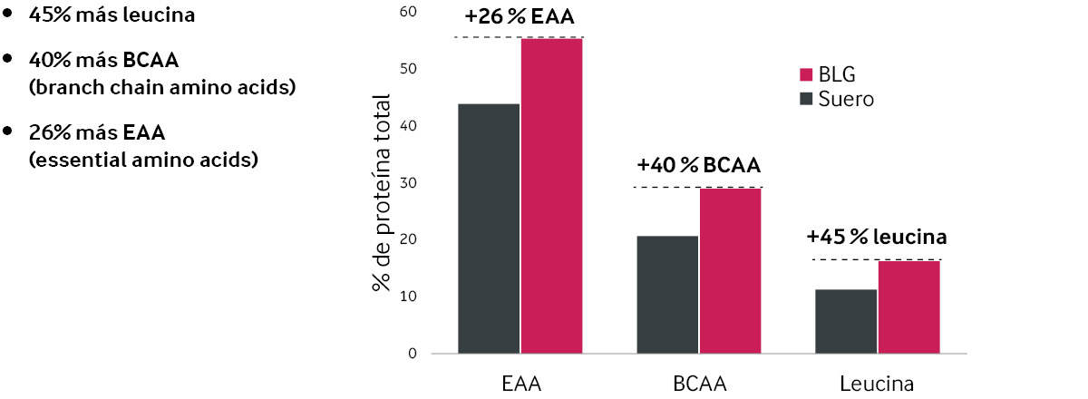 BLG-graph-for-web_1200px_ES.jpg