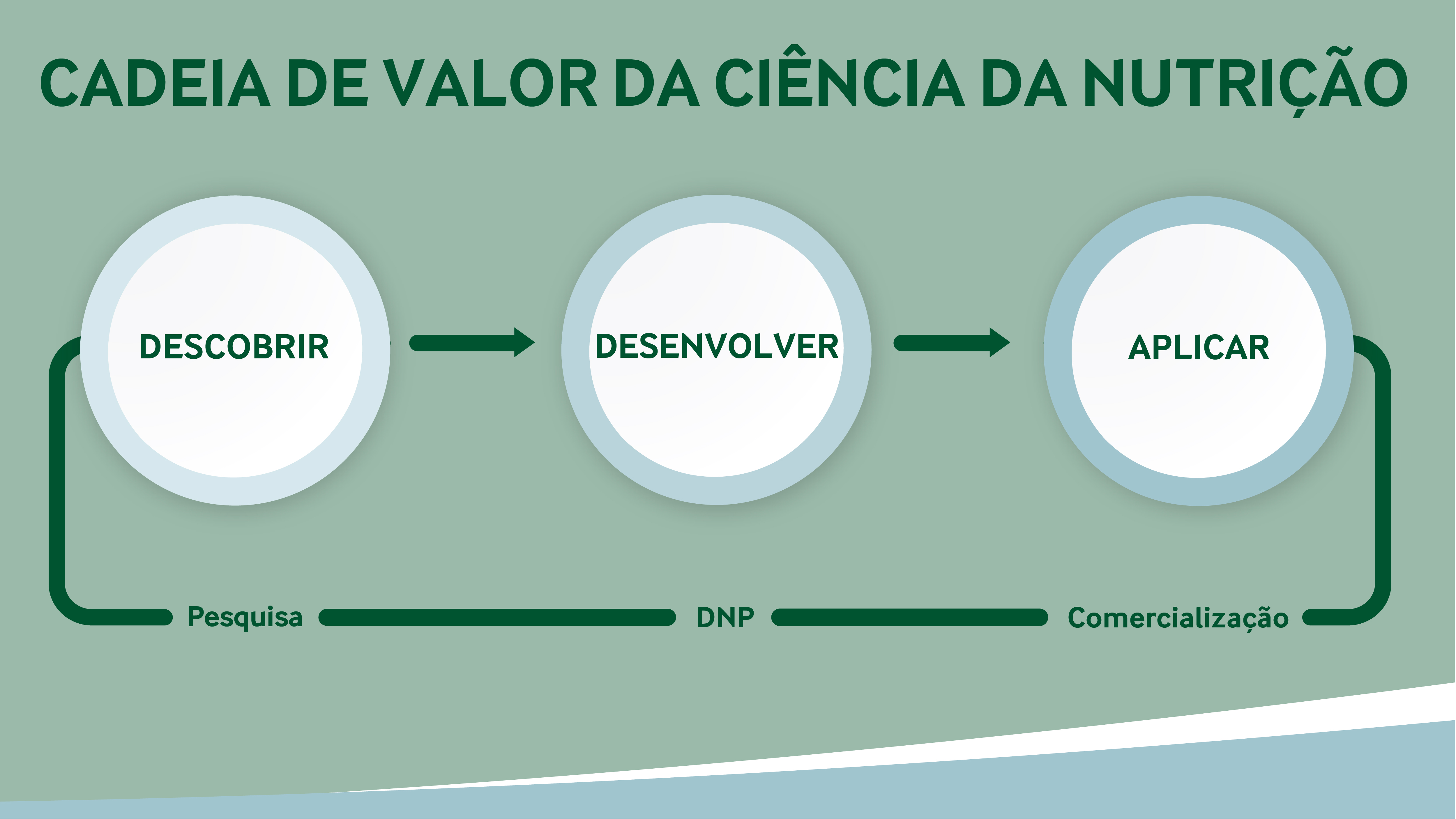 Nutrition Science Value Chain-1200_PT.jpg