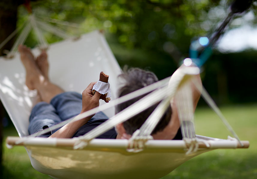 Barra de proteína indulgente con Lacprodan® SoftBar