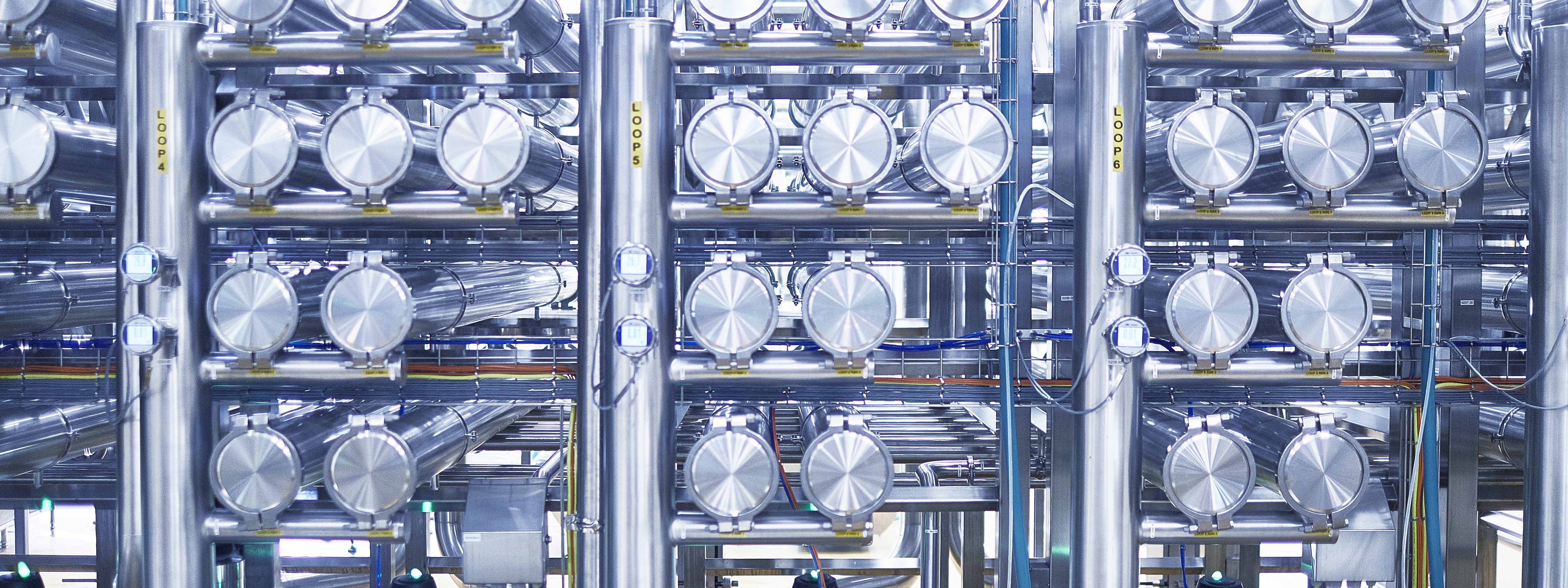 Quality at scale – introducing our hydrolysates factory