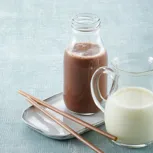 Bebidas Lácteas